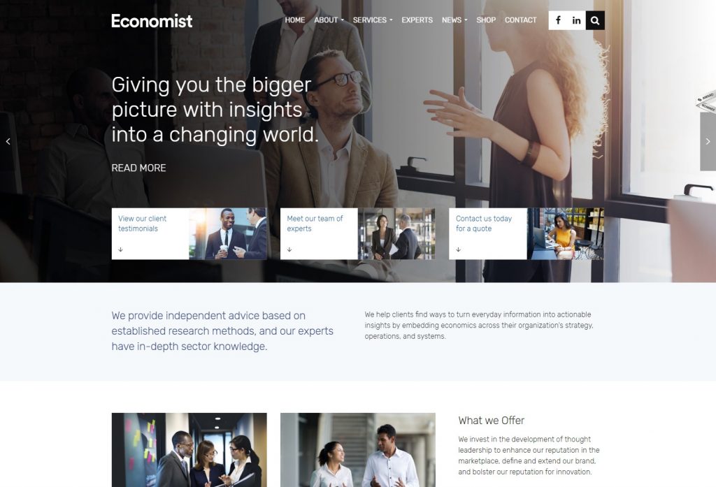 Home Economist WordPress Theme-komprimiert (1)