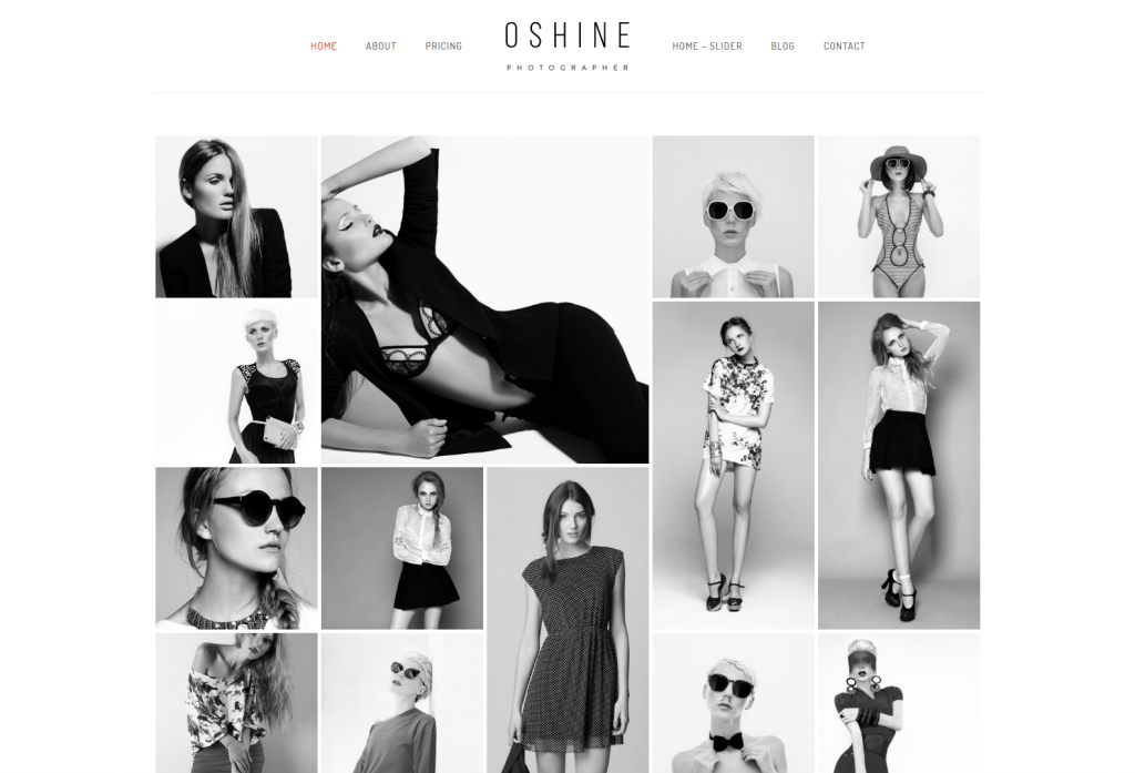 Oshine - Graustufen - Oshine - Bestes Portfolio Fotografie WordPress Theme