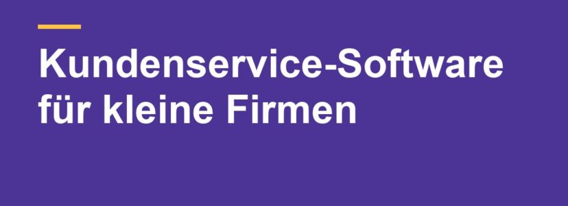 Kundenservice-Software für kleine Unternehmen: Plugin oder externer Dienst?